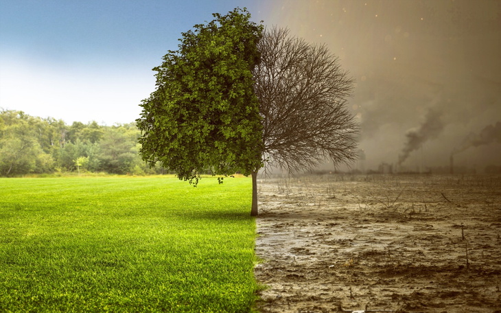 Drzewo dzielące krajobraz na czysty i zanieczyszczony.