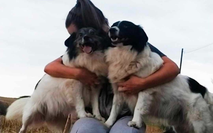 Osoba przytulająca dwa radosne psy na świeżym powietrzu.