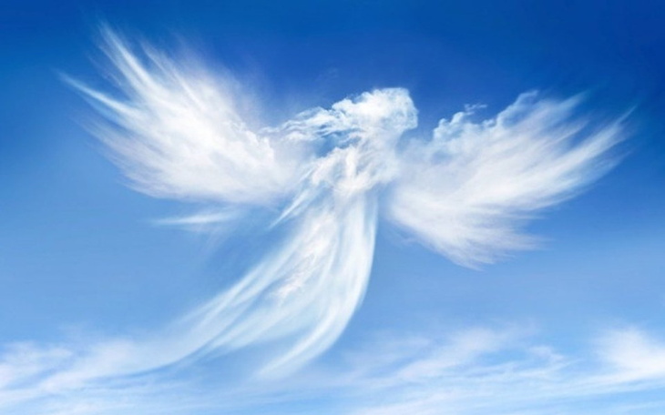 Zbiórka ZIEMSKI ANIOŁ potrzebuje pomocy! - zdjęcie główne