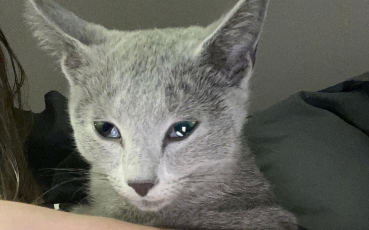 Zbiórka Pomóż Aviemu wygrać z chorobą - zdjęcie główne