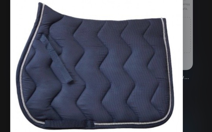 Zbiórka Zbieram na wymarzony czaprak - zdjęcie główne