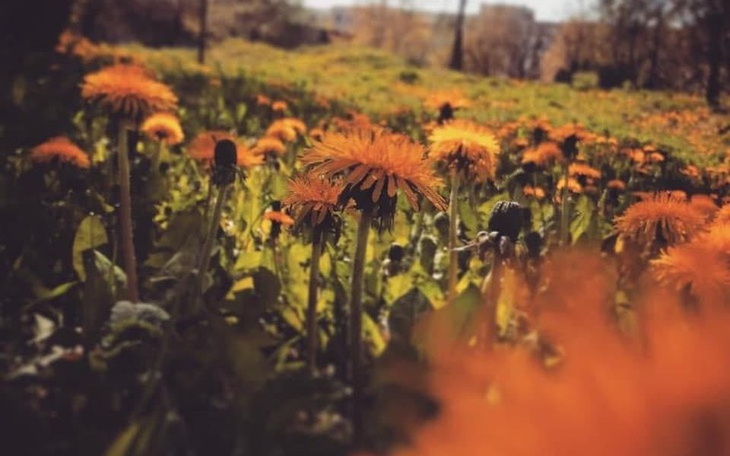 Zbiórka Zbiórka na jedzenie.. - zdjęcie główne