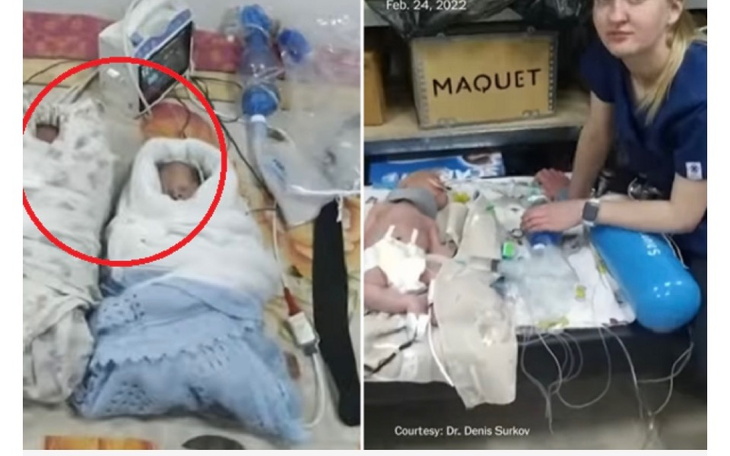 Zbiórka Nakarmimy noworodki w schronach - zdjęcie główne