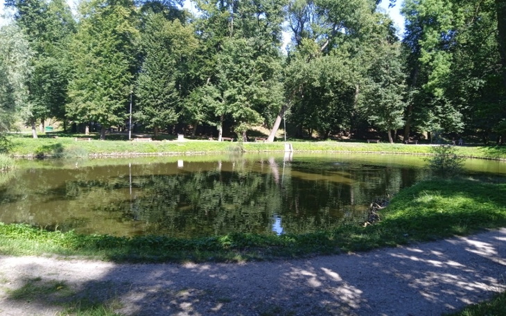 Zbiórka Po prostu na spokojne życie - zdjęcie główne