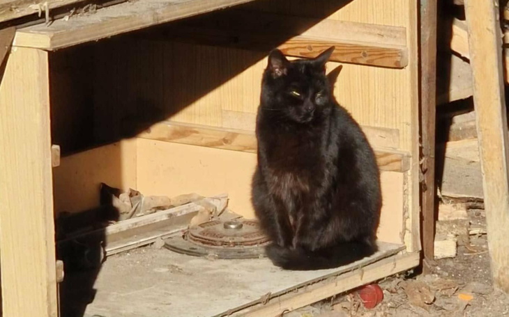 Chory mężczyzna leżący w szpitalnym łóżku z rurkami medycznymi.