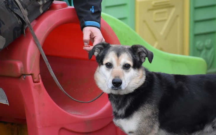 Zbiórka Kolejny miesiąc - zdjęcie główne