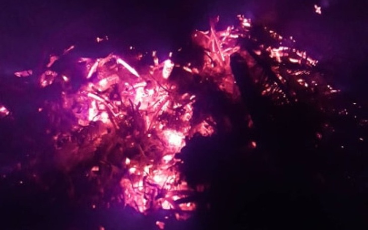 Zbiórka kkkkkkkk - zdjęcie główne