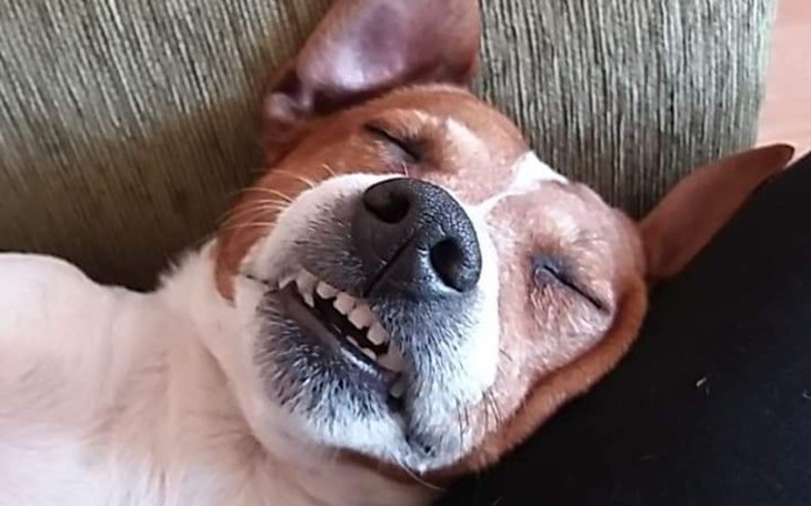 Zbiórka Na prezent dla samego siebie 😉 - zdjęcie główne