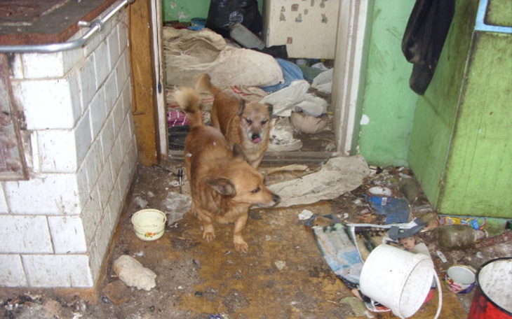 Zbiórka Nigdy nie jest za póżno... - zdjęcie główne