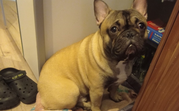 Zbiórka Na leczenie i leki dla Olafka - zdjęcie główne