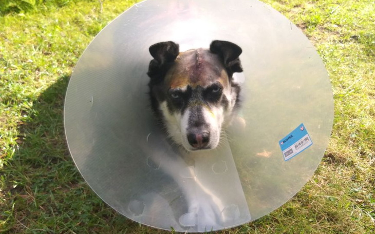 Zbiórka Na ratunek Mercedes - zdjęcie główne