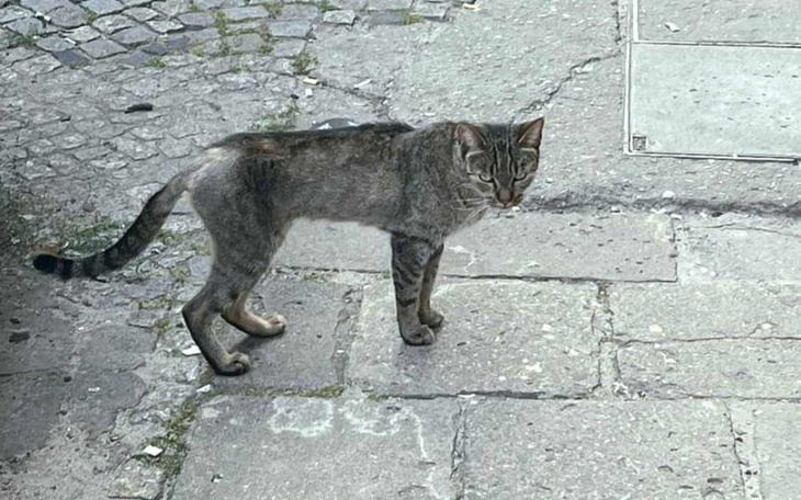 Zbiórka Umierała z głodu i pragnienia - zdjęcie główne