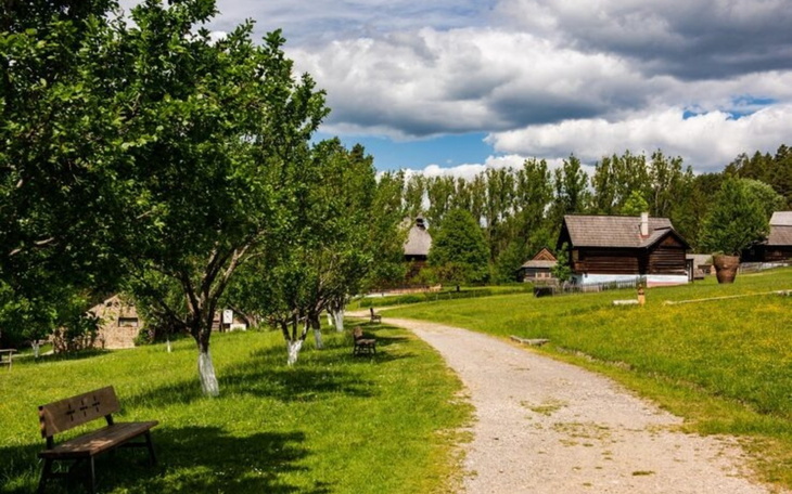 Malownicza wiejska sceneria z drzewami i domami.