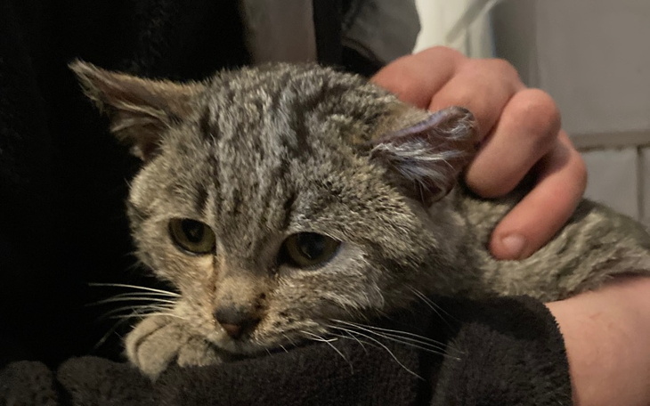 Zbiórka Na leczenie Tytusa - zdjęcie główne