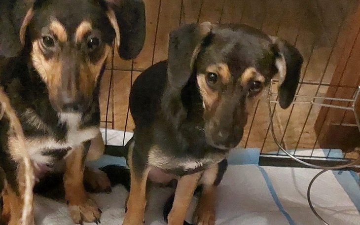 Zbiórka Gdy dzikość odbiera normalność - zdjęcie główne