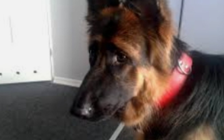 Zbiórka na tine... - zdjęcie główne