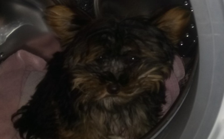 Zbiórka leczenie Malwinki - zdjęcie główne