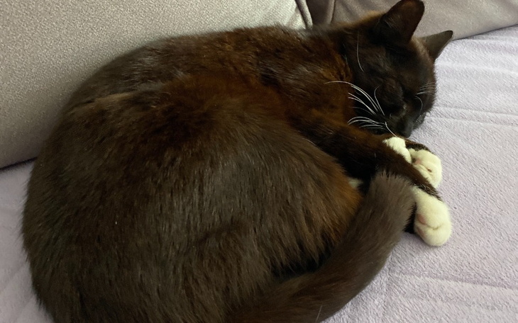 Zbiórka Zbiórka na Cole - zdjęcie główne