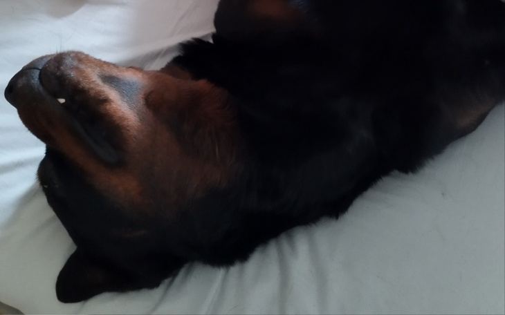 Zbiórka Zwyrodnienie stawów boli - zdjęcie główne