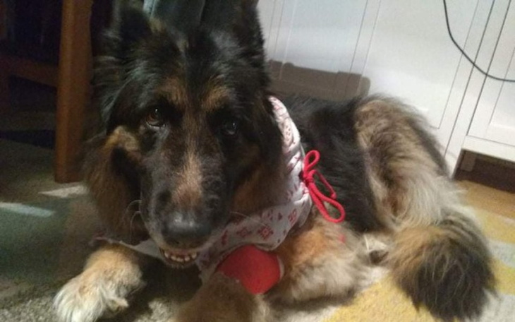 Zbiórka Na operację Tekili - zdjęcie główne