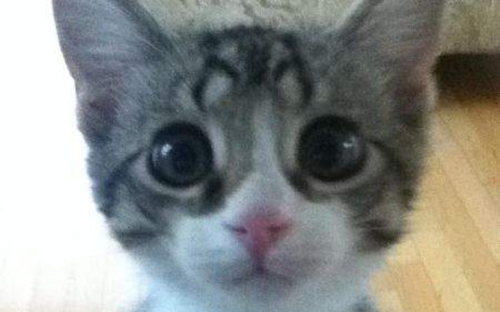 Zbiórka Laptop do bursy - zdjęcie główne