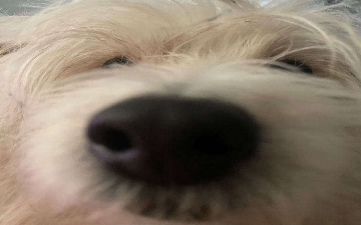 Zbiórka Na aparat na zęby - zdjęcie główne