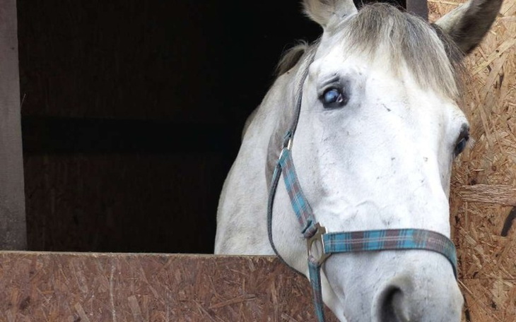 Zbiórka moya potrzebuje pomocy - zdjęcie główne