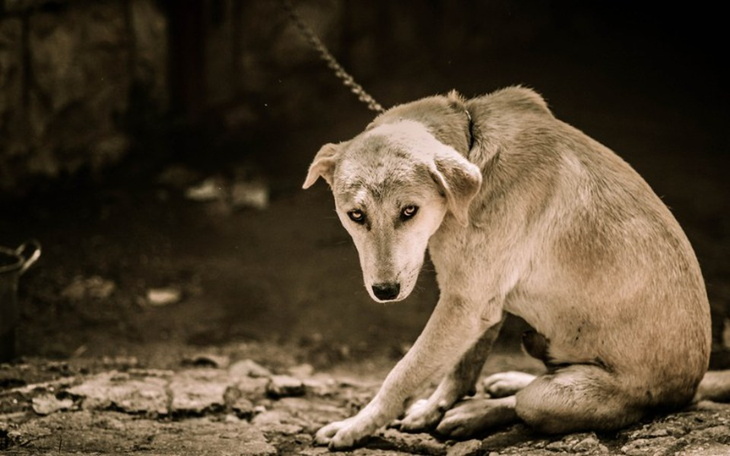 Zbiórka Zerwijmy łańcuchy - zdjęcie główne