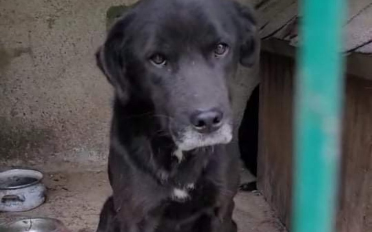 Zbiórka A w oczach tylko ból - zdjęcie główne