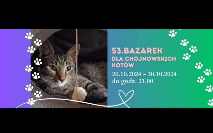 Zbiórka 53 edycja Bazarku - zdjęcie główne