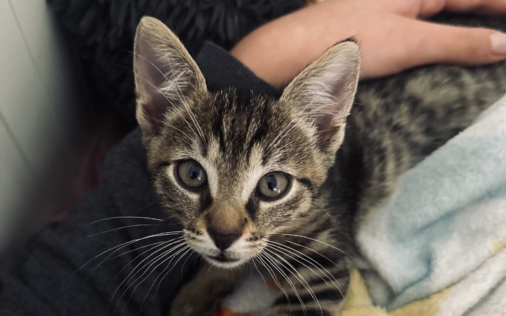 Zbiórka Ratujemy życie Zenka - zdjęcie główne