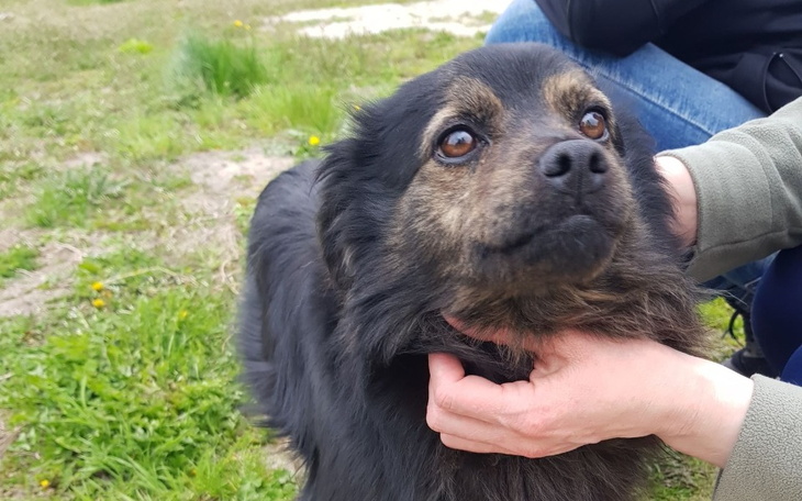 Zbiórka Wesprzyj ZNAJDUSIA - zdjęcie główne