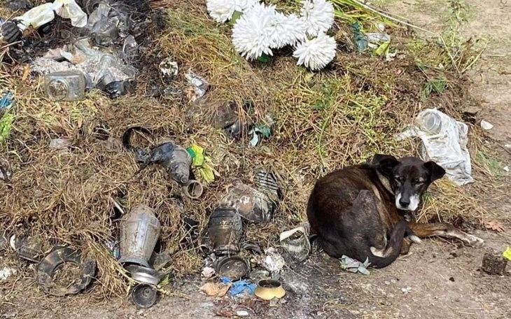 Zbiórka Transport i hotelik Ediego - zdjęcie główne