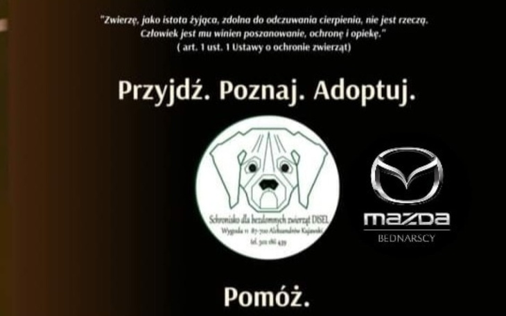 Zbiórka Uratujmy Disla - Mazda Bednarscy - zdjęcie główne