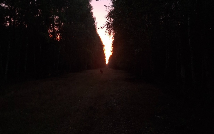 Zbiórka Od wybrzeża do wybrzeża USA - zdjęcie główne