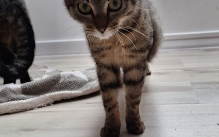 Zbiórka Daj mi życie mam 6 miesięcy . - zdjęcie główne