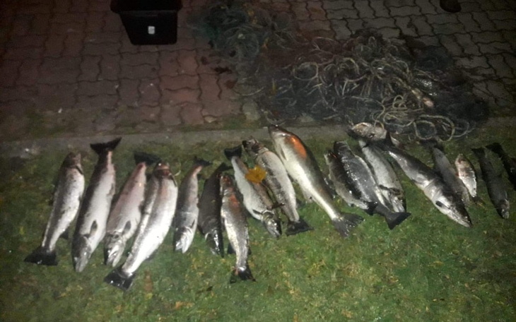 Zbiórka Na fotopułapki i ochronę salmo - zdjęcie główne