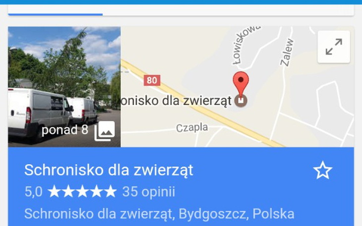 Zbiórka Dla zwierzaków ze schroniska - zdjęcie główne