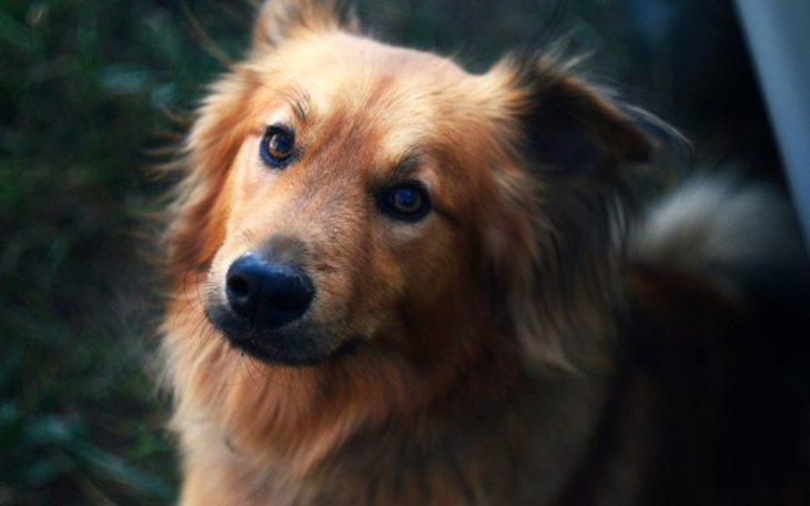 Zbiórka Pasja, spelniam marzenia - zdjęcie główne