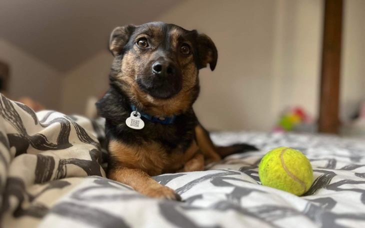 Zbiórka Pomóż dalej żyć - diagnoza Kuby - zdjęcie główne