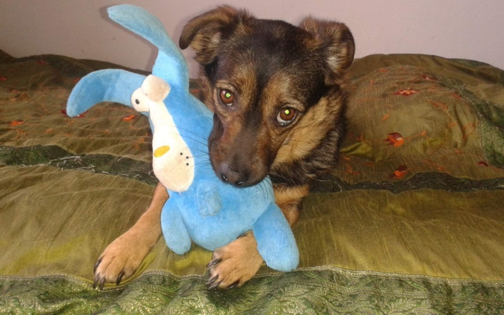 Zbiórka By nauczyć się żyć - zdjęcie główne