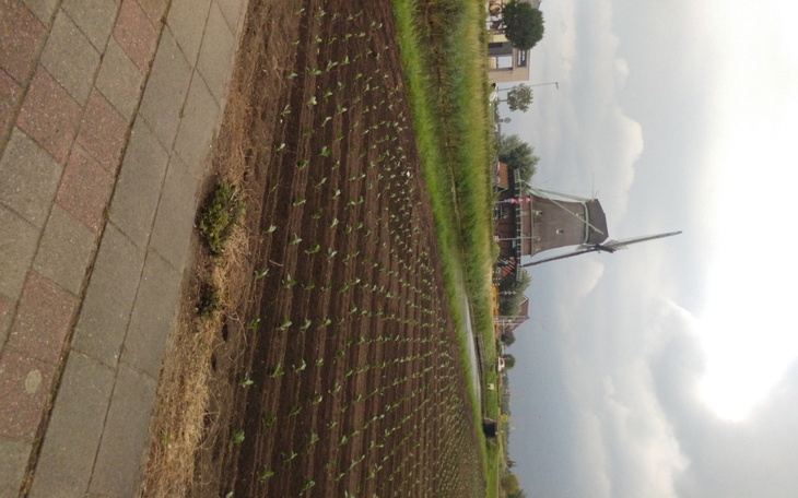 Zbiórka Chec spotkania sie z dziecmi - zdjęcie główne