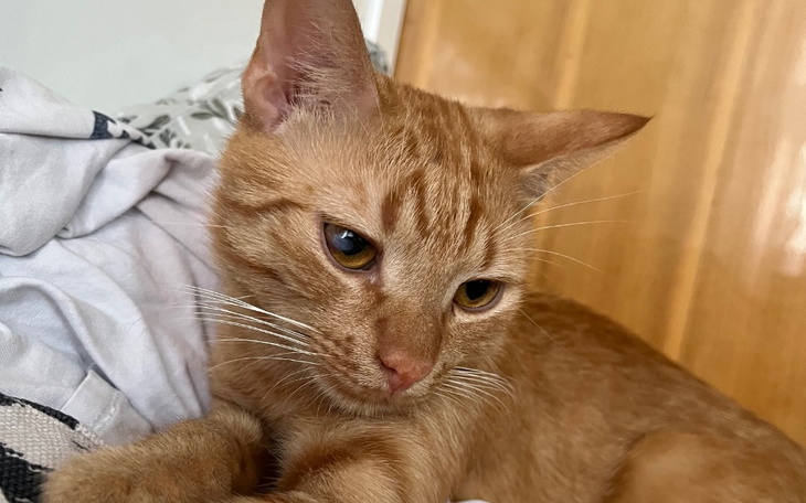 Zbiórka Walczę o zdrowie i życie - zdjęcie główne