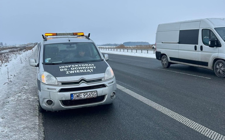 Samochód inspekcji ochrony zwierząt na drodze w zimowej scenerii.