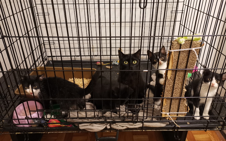 Zbiórka Szczepienie może uratować życie - zdjęcie główne