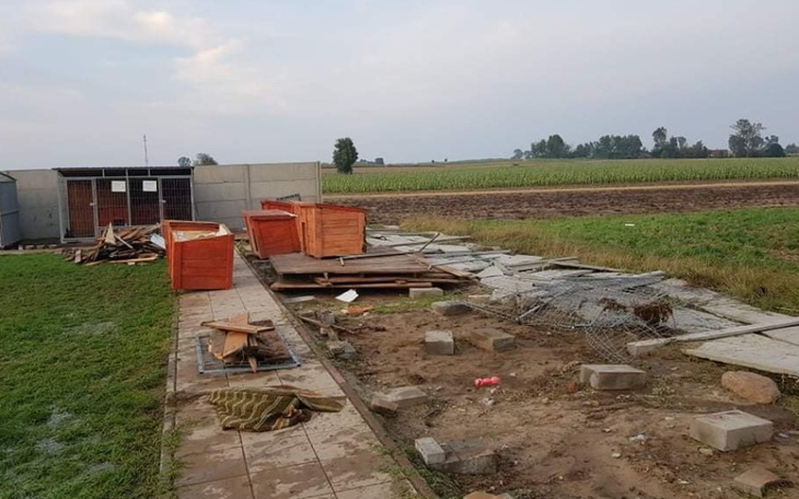 Zbiórka Schronisko Zwierzaki do wziecia - zdjęcie główne