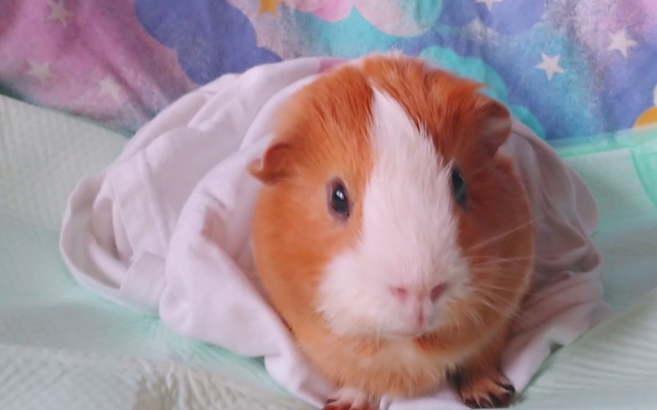 Zbiórka Bunia potrzebuje lekarza - zdjęcie główne