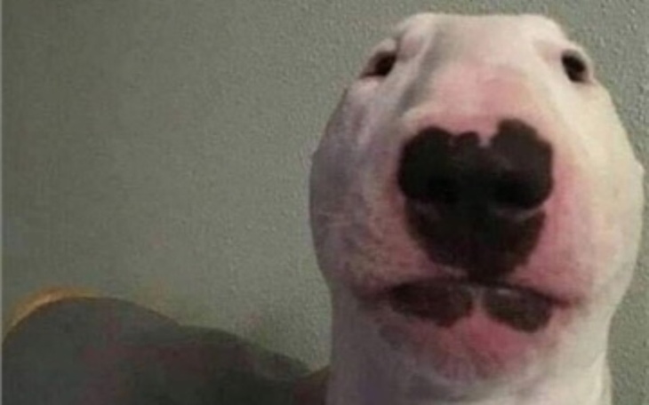 Zbiórka Na prezent dla B - zdjęcie główne