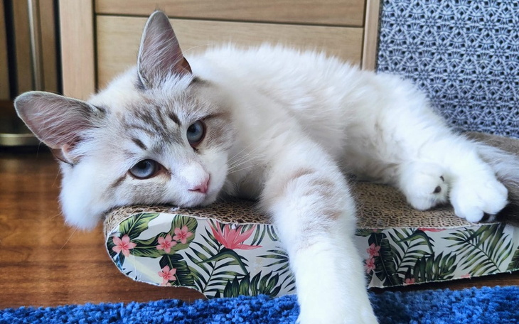 Młoda kobieta w wózku inwalidzkim, z zamyśloną miną.