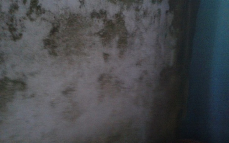 Zbiórka Zycie po 75 roku zycia. - zdjęcie główne